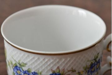 中古　ハンガリー　HOLLOHAZA(ホロハーザ)　Pannonia(パノニア)　ティーポット・カップ&ソーサー6客・クリーマー・シュガーポット　ティーセット(洋食器)(R-043391)