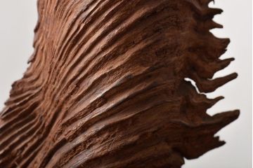 昭和期　一刀彫(肥松)　達磨木彫(彫刻、だるま大師)(R-043408)