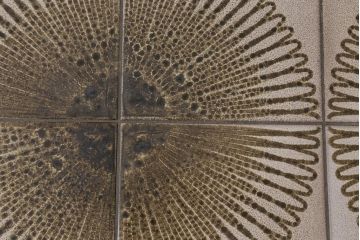 ヴィンテージ家具　北欧ビンテージ　G-PLAN(ジープラン)　ダークグリーンのペイントとタイルトップがお洒落なコーヒーテーブル(センターテーブル)(R-043441)