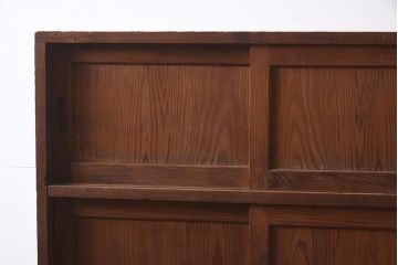 和製アンティーク　大正昭和初期　大胆な杢目が美しい戸棚(収納棚、キャビネット)(R-043451)