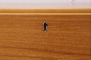 ヴィンテージ家具　北欧ビンテージ　Remploy　ワンルームにもおすすめなライティングビューロー(デスク、在宅ワーク、在宅用簿記机)(R-043536)