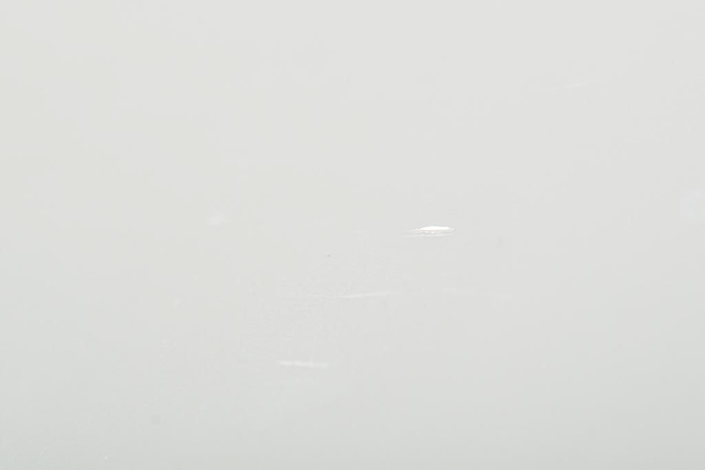 中古　ハンガリー　HOLLOHAZA(ホロハーザ)　Magnolia(マグノリア)　22.5cm　プレート6枚セット(皿、洋食器)(R-043617)