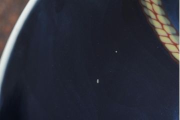 船津彩雲作　色鍋島三瓢箪青海波文皿6枚セット(伊万里大皿、小皿、和食器、箱なし)(R-043620)