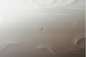 善夫銘　鳳香炉(白磁、青磁、共箱、茶道具)(R-043731)
