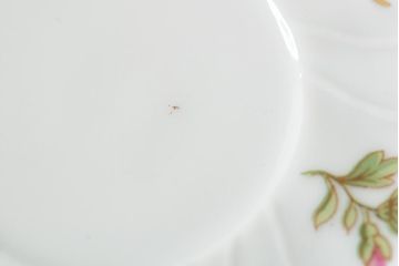 中古　ハンガリー　HOLLOHAZA(ホロハーザ)　Henriette(ヘンリエッタ)　ティーセット(ポット、カップ&ソーサー、プレート、シュガーポット、ミルクジャグ)(R-043764)