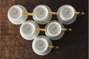 中古　ハンガリー　HOLLOHAZA(ホロハーザ)　Princess(プリンセス)　コーヒーセット(ポット、カップ&ソーサー、シュガーポット、ミルクジャグ)(R-043766)