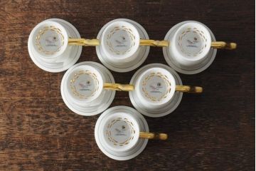 中古　ハンガリー　HOLLOHAZA(ホロハーザ)　Princess(プリンセス)　コーヒーセット(ポット、カップ&ソーサー、シュガーポット、ミルクジャグ)(R-043767)