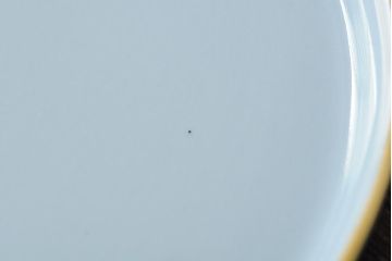 中古　ヘレンド　ハンガリー　HEREND HVNGARY　プレート　フラワーモチーフのトレイ(HUNGARY、変形皿)(R-043769)