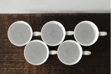 中古　ハンガリー　HOLLOHAZA(ホロハーザ)　Eva collection(エヴァコレクション)　カップ&ソーサー5客セット(洋食器)(R-043774)