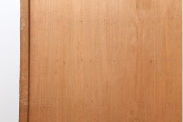 アンティーク建具　大正期　ヒノキ材　暖かみのある木肌が味わい深い板戸2枚セット(建具、引き戸、舞良戸)(R-043848)