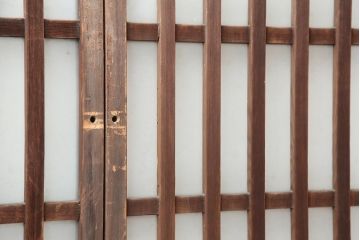 アンティーク建具　昭和中期　すりガラス入りのガラス格子戸2枚セット(建具、引き戸)(R-043869)