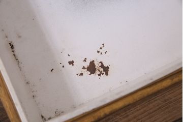 アンティーク雑貨　昭和中期　楢(ナラ)材製　レトロな雰囲気漂うコレクションボックス(ガラスケース、収納箱、小物入れ)(R-043904)