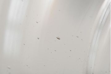 レトロ雑貨　昭和レトロ　縦長のフォルムが可愛らしい地球瓶(ガラス瓶、ガラスビン)(R-043922)