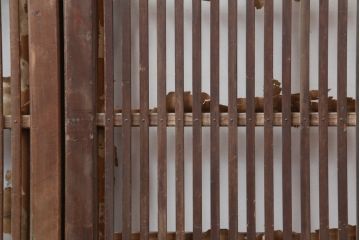 アンティーク建具　大正期　激レア!スライド式の障子が付いた格子戸4枚セット(引き戸、障子戸)(R-043940)