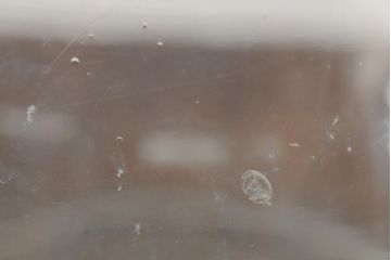 レトロ雑貨　昭和レトロ　丸いフォルムが愛らしい地球瓶(ガラス瓶、ガラスビン)(R-043950)