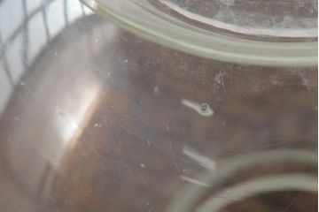 レトロ雑貨　昭和レトロ　丸いフォルムが愛らしい地球瓶(ガラス瓶、ガラスビン)(R-043950)