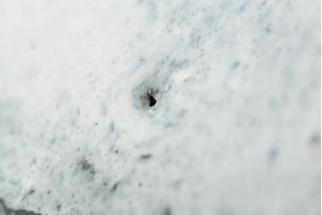 ビンテージ雑貨　ハンガリー　iparmuveszeti vallalat　ボウル(鉢、深皿)(R-043953)