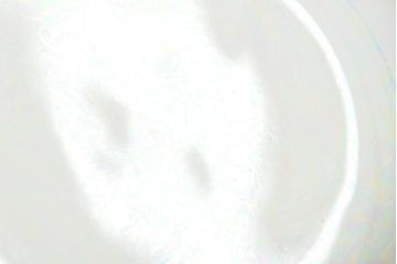 レトロ雑貨　名古屋製陶会社　オールドメイトー(名陶)　昭和中期　戦後　食器7点セット(ボウル、鉢、深皿、中鉢)(R-043954)