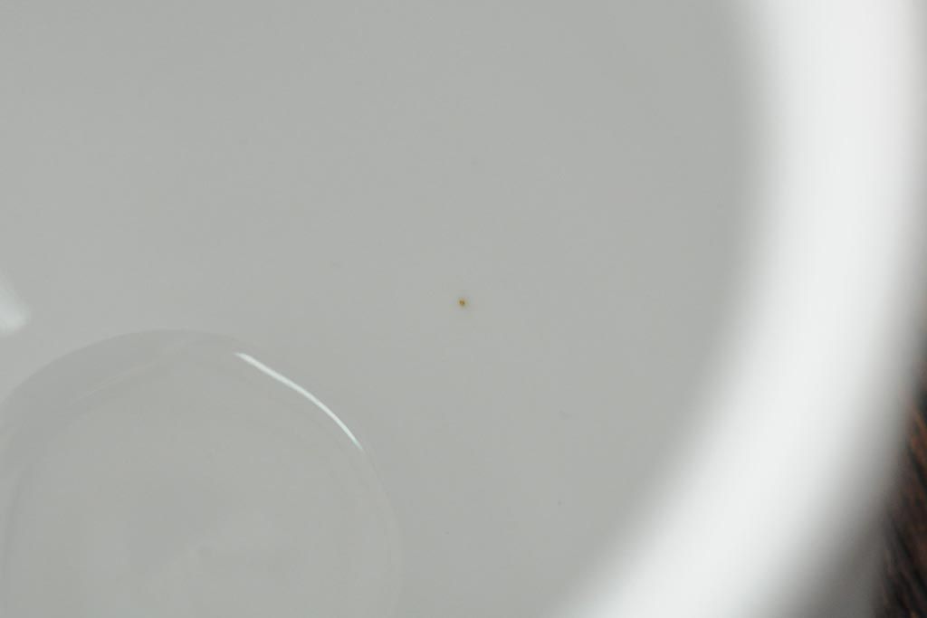 中古　ハンガリー　HOLLOHAZA(ホロハーザ)　Pannonia(パノニア)　バラ(薔薇)　カップ&ソーサー2客セット(洋食器)(R-044013)