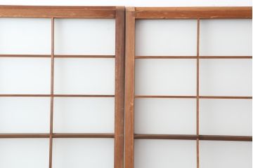 ヴィンテージ建具　昭和中期　すりガラス入り　昭和レトロな空間におすすめのガラス戸2枚セット(引き戸、ビンテージ)(R-044044)