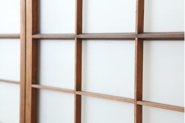 ヴィンテージ建具　昭和中期　すりガラス入り　昭和レトロな空間におすすめのガラス戸2枚セット(引き戸、ビンテージ)(R-044044)