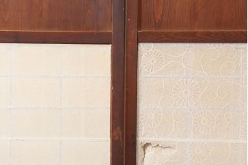アンティーク建具　大正期　趣あふれる障子帯戸2枚セット(障子戸、格子戸、板戸、引き戸、建具)(R-044065)