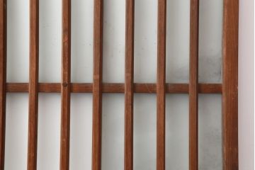 アンティーク建具　昭和レトロ　細身のシルエットが魅力のガラス格子戸2枚セット(ガラス戸、引き戸、建具)(R-044119)