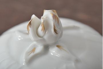 中古　ハンガリー　HOLLOHAZA(ホロハーザ)　Pannonia(パノニア)　ティーポット(洋食器)(R-044126)