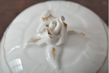 中古　ハンガリー　HOLLOHAZA(ホロハーザ)　Pannonia(パノニア)　ティーポット(洋食器)(R-044128)