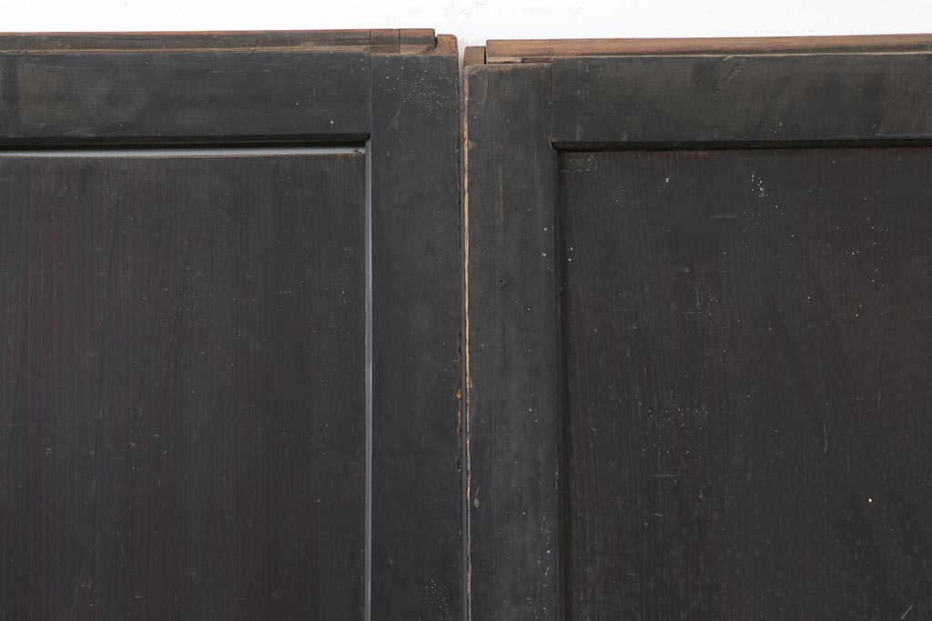 アンティーク建具　和製アンティーク　明治期　一枚板　格調高い和を演出する板戸2枚セット(建具、引き戸)(R-044163)