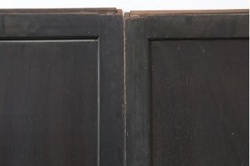 アンティーク建具　和製アンティーク　明治期　一枚板　格調高い和を演出する板戸2枚セット(建具、引き戸)(R-044163)