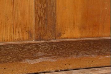 レトロ建具　昭和中期　ノスタルジックな雰囲気漂うガラス戸1枚(引き戸、建具)(R-044209)