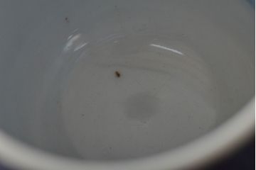 江戸〜明治　古伊万里　渦福蓋茶碗など8点(染付湯呑、小皿、醤油皿)(R-044218)