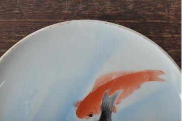 明治〜大正　鯉の図　図変わり6寸印判皿3枚(中皿)(R-044222)