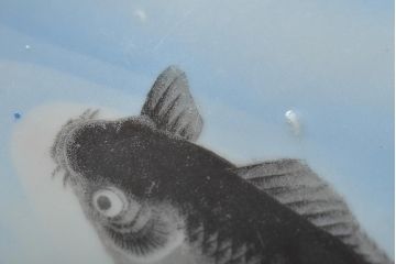 明治〜大正　鯉の図　図変わり6寸印判皿3枚(中皿)(R-044222)