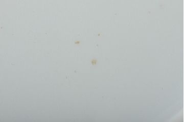 戦前　オールド香蘭社　菊文耳付花瓶(花器)(R-044324)