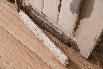 アンティーク建具　フランスアンティーク　オーク材　両開き　鉄格子がおしゃれな親子ドア(木製扉)(R-044598)