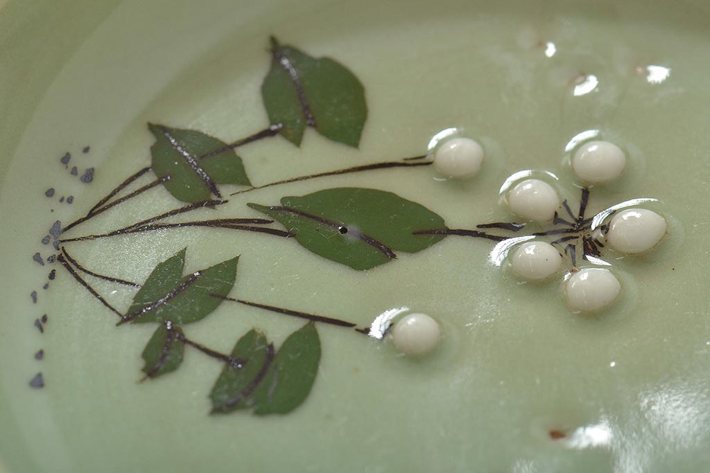 大正〜昭和初期　青磁花文小皿7枚セット(R-044622)