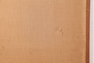 アンティーク家具　古民家スタイルにおすすめな板戸2枚セット(戸襖、引き戸、建具)(R-044778)