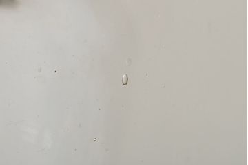 アンティーク雑貨　エンボス入り　たばこ瓶(ガラス瓶、ガラスビン、タバコ瓶) (R-044796)