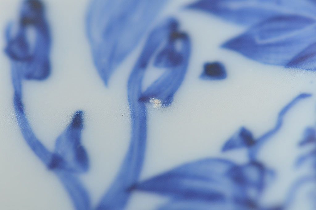 古い　陶玉園五助製　染付獅子図　小皿5枚(瀬戸)(R-044801)