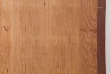 アンティーク建具　和製アンティーク　明治期　存在感たっぷりの舞良戸2枚セット(蔵戸、玄関戸、引き戸、建具)(R-044846)