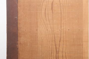 アンティーク建具　和製アンティーク　明治期　存在感たっぷりの舞良戸2枚セット(蔵戸、玄関戸、引き戸、建具)(R-044846)