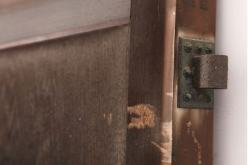 アンティーク建具　大正昭和初期　総ヒノキ材・一枚板　両開き　特大サイズ!古い木の質感が魅力の門扉一対(蔵戸、建具)(R-044891)
