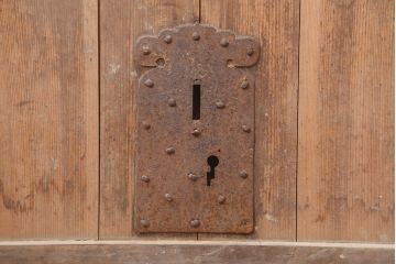 アンティーク建具　明治大正期　ヒノキ材の質感が味わい深い格子蔵戸(玄関戸、引き戸、建具)(R-044899)