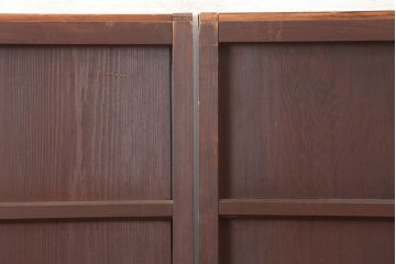 アンティーク建具　明治大正期　木味が魅力的な舞良戸2枚セット(板戸、帯戸、引き戸、建具)(R-044926)