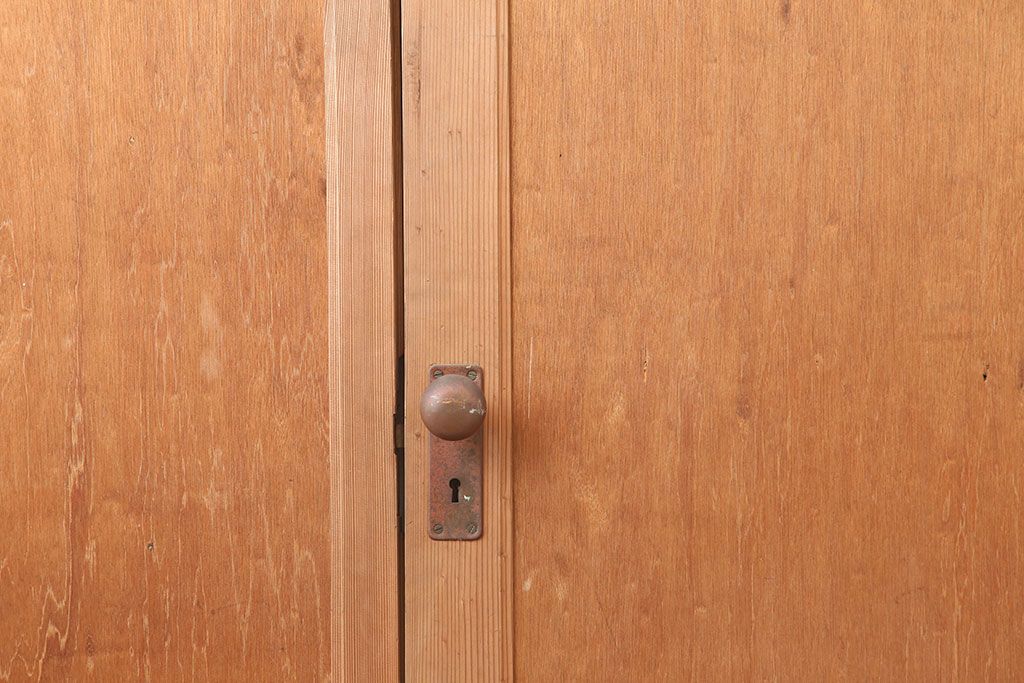 ヴィンテージ建具　昭和中期　シンプルで取り入れやすい両開き親子ドア2枚(1対)セット　(R-044946)