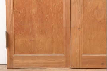 ヴィンテージ建具　昭和中期　シンプルで取り入れやすい両開き親子ドア2枚(1対)セット　(R-044946)