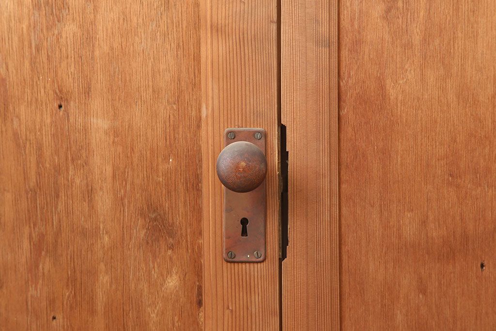 ヴィンテージ建具　昭和中期　シンプルで取り入れやすい両開き親子ドア2枚(1対)セット　(R-044946)