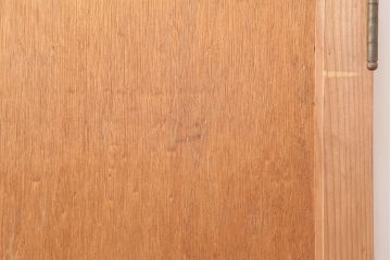 アンティーク建具　昭和中期　両開き　大正ロマン風に仕上がる親子ドア(木製扉)(R-044946)